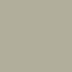 Film de découpe 3M Scotchcal 100-079/5, Gris tilleul, 1220 mm x 25 m