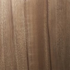 Finitions architecturales 3M DI-NOC Abrasion Resistant, FW-7011 AR, 1220 mm x 25 m